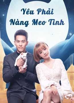 Yêu Phải Nàng Meo Tinh 2019